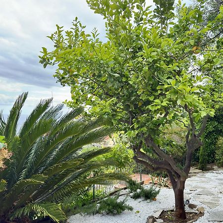 Villa Cielo Costarainera Esterno foto