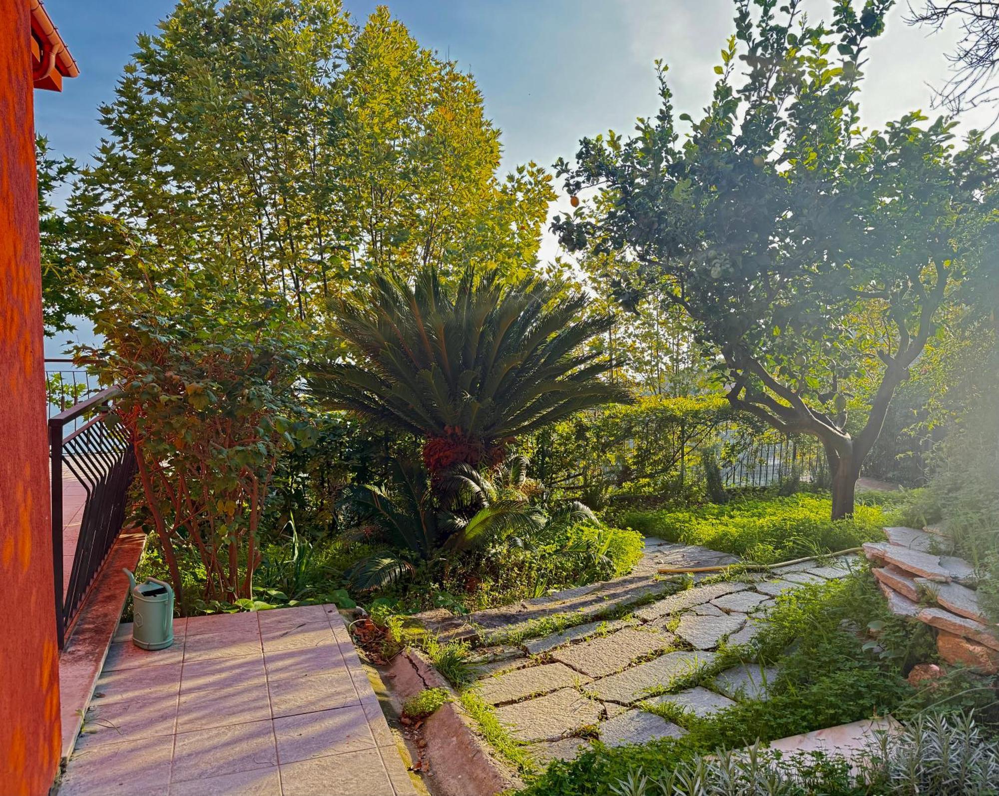 Villa Cielo Costarainera Esterno foto