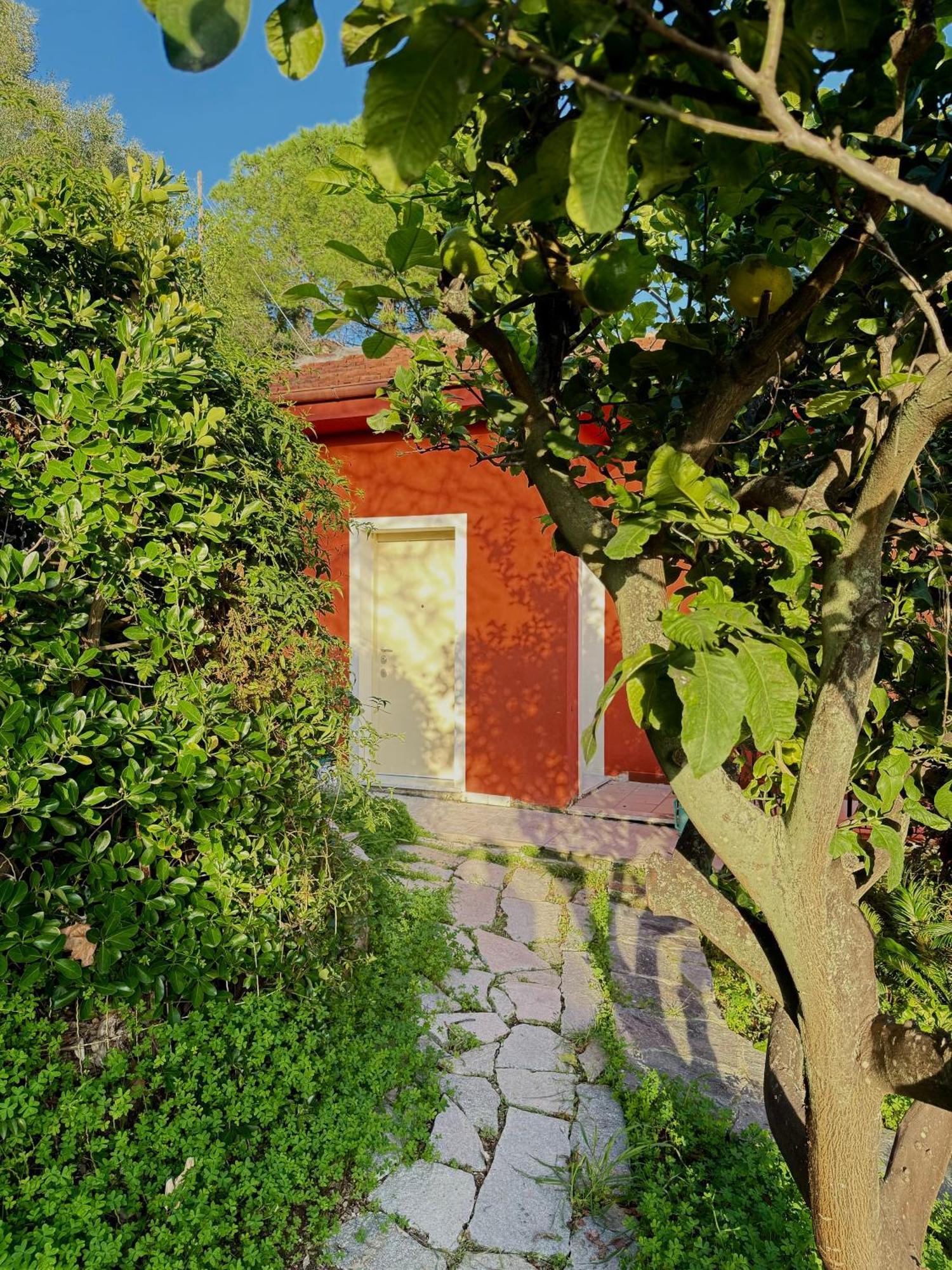 Villa Cielo Costarainera Esterno foto